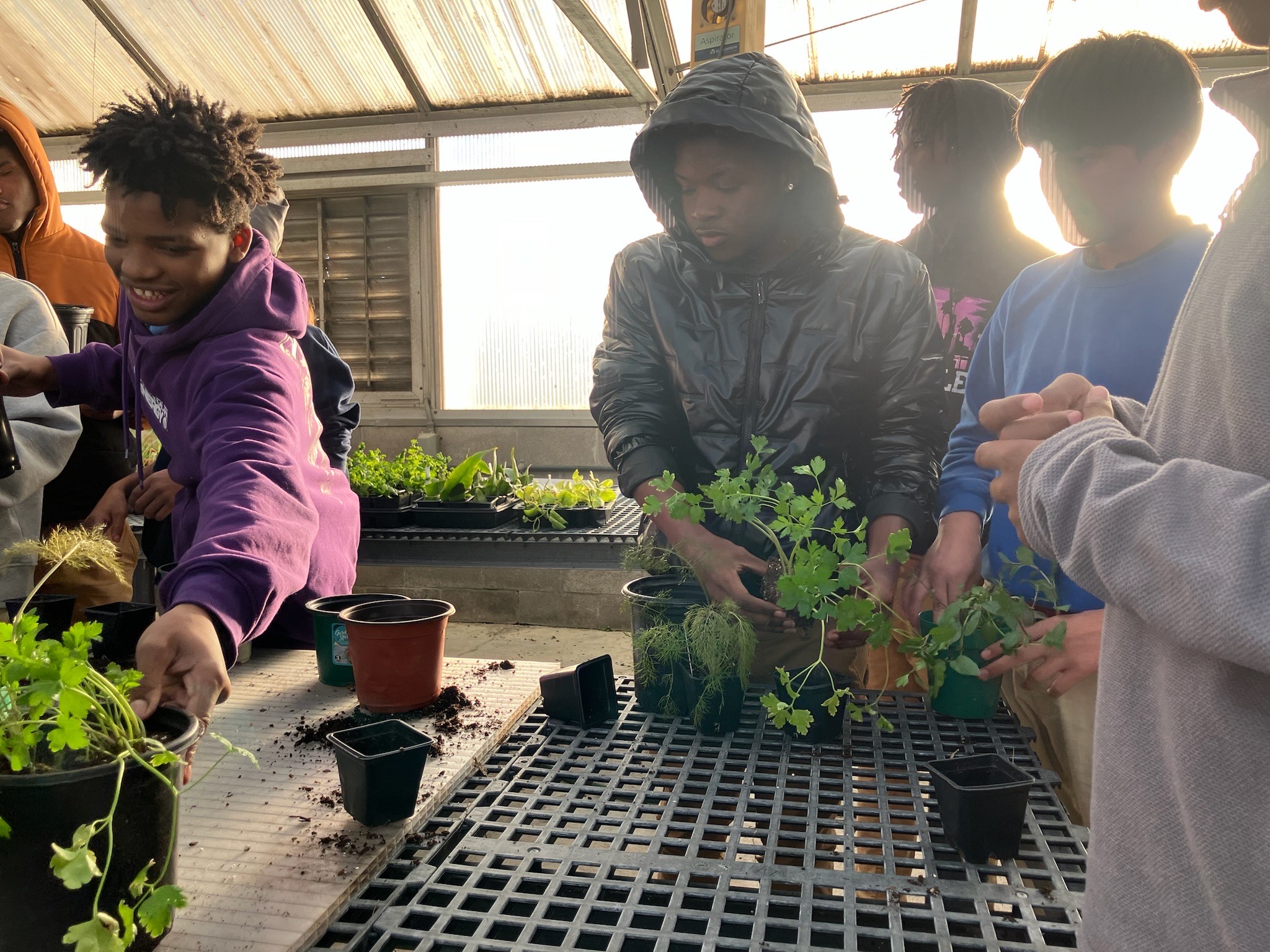 Youth in the Someone Always Cares ERAC program